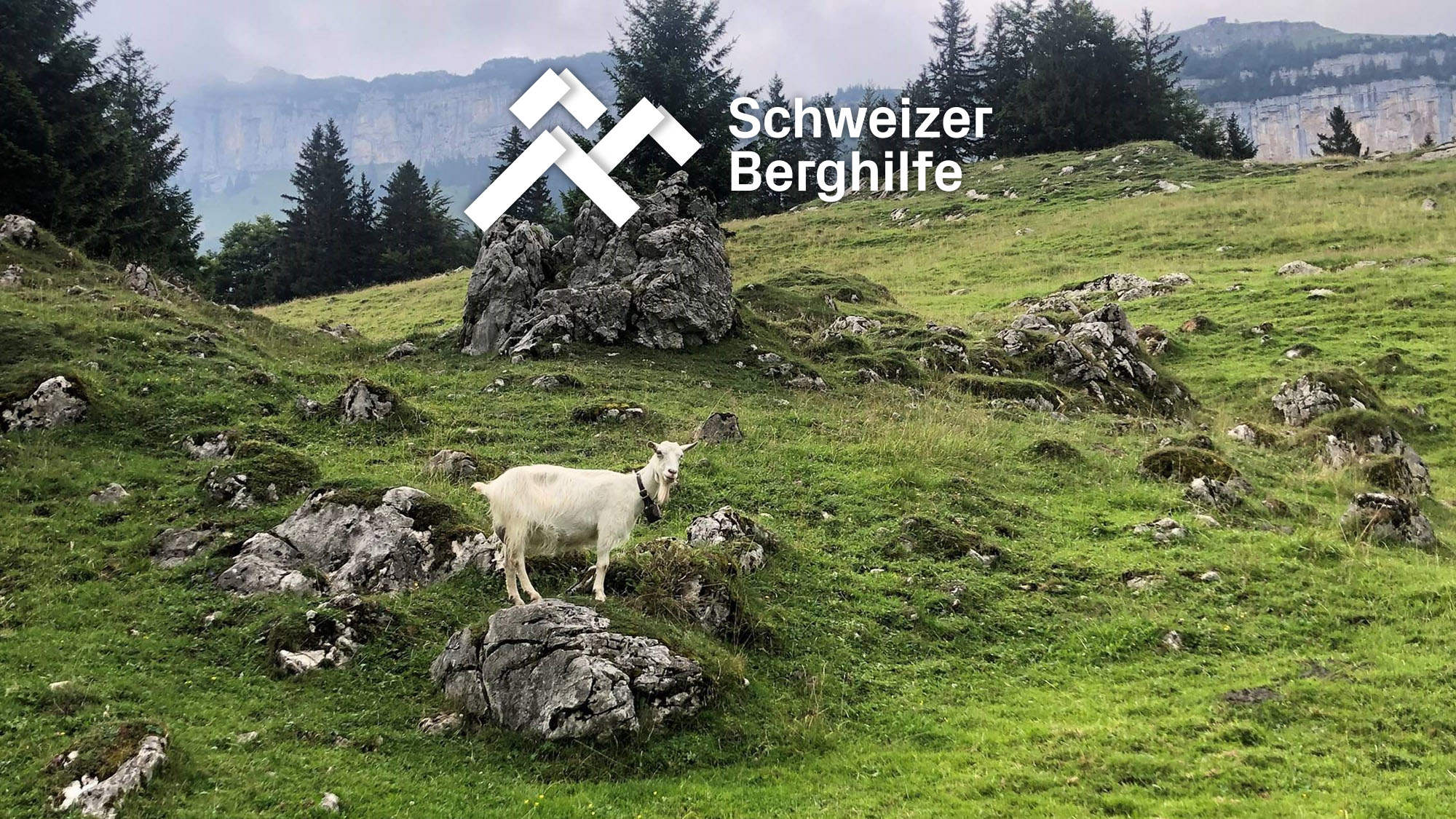 Aide suisse à la montagne